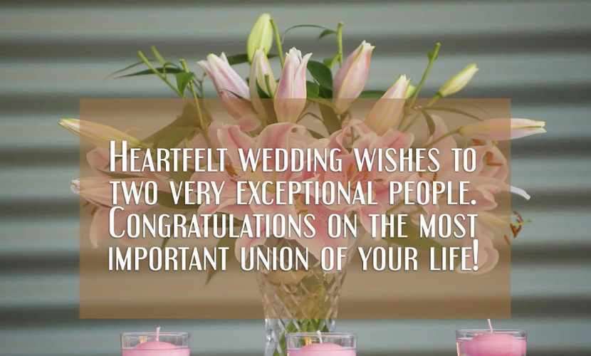 Best Wedding Wishes