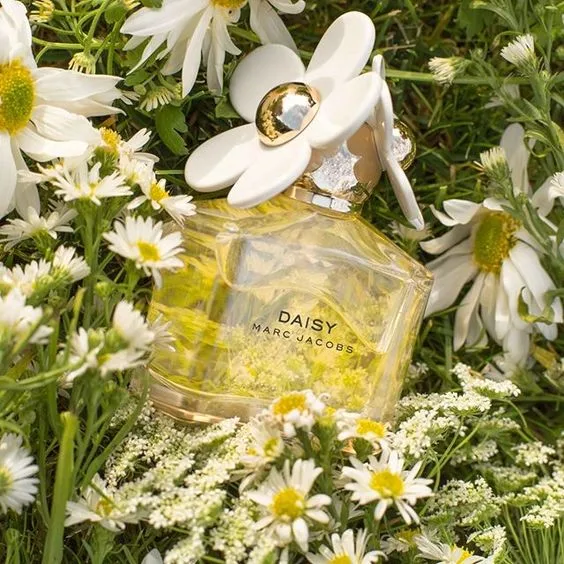 The 11 Best Wedding Day Perfumes. Fragrance For Your Special Day.